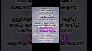 Labbaika paadunnu song lyrics malayalam mappila pattu [upl. by Butch]