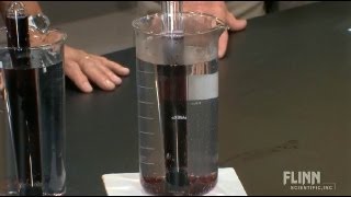 Solubility of Gases [upl. by Kciredec]