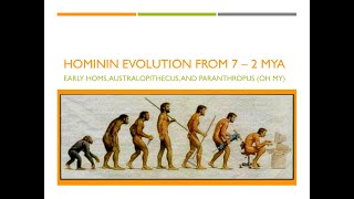 Hominin Evolution Part 1 The First 5 Million Years [upl. by Naujled968]