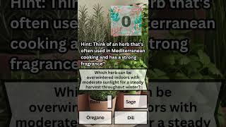 You Wont Believe This Herb Can Survive Indoors All Winter shorts gardeningshorts herbs winters [upl. by Abigail]