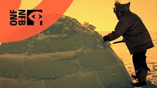 How to Build an Igloo [upl. by Namia]