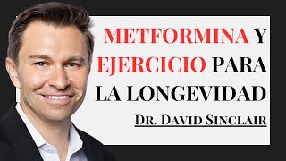 Metformina y Ejercicio Para la Longevidad  Dr David Sinclair [upl. by Mehitable498]