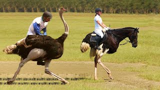 10 Most Unusual Sports From Around The World [upl. by Ardnahc]