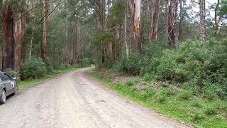 Ghost Town Hunting 2  Ryton South Gippsland Victoria [upl. by Ynnub995]