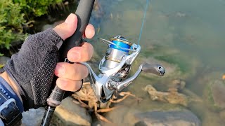 shimano sedona 23 1000 reel [upl. by Natsyrt]