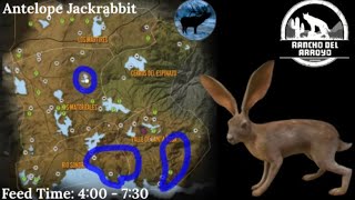 Antelope Jackrabbit Guide  theHunter Call of the Wild [upl. by Robma768]