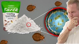 Why You Should NEVER Use Diatomaceous Earth For The Control Of Bed Bugs [upl. by Assilam]