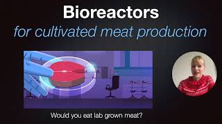 Bioreactors for cultivated meat production [upl. by Melmon]