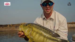 Targeting Nembwe on Lure [upl. by Mcmurry]