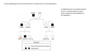 Arbre généalogique pour déterminer la probabilité dexprimer des traits récessifs liés au sexe [upl. by Liahcim908]