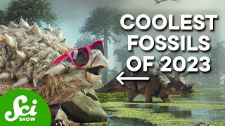 These Are The Coolest Fossils From 2023 [upl. by Atinaej]