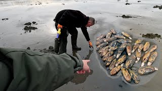 Washington State Clam Digging Expert Tips and Tricks from Friendly Locals A Razor Clam Feast [upl. by Fenner]