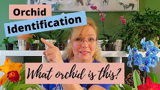 Orchid Identification The 5 Most Common Orchids for Beginners [upl. by Akenet]