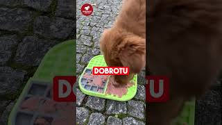 STOP hltání S podložkou Licki Mat [upl. by Gwenora110]