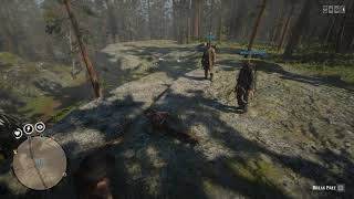 Red Dead Redemption 2 Messing Around With Lassos [upl. by Assilrac893]