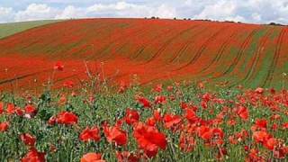 In Flanders Fields by John McCrae May 1915 [upl. by Hecker]