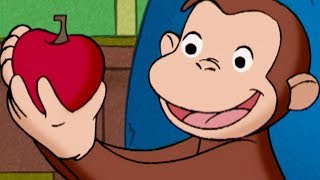 おさるのジョージ 🐵 ゴー ゴーゴー 🐵TVアニメシリーズ🐵シーズン5 [upl. by Einaffit]