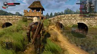 The Witcher 3 DLSS 3 Performance on Linux [upl. by Carpio246]