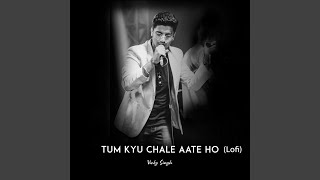 Tum Kyu Chale Ate Ho Lofi [upl. by Lail]