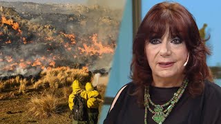 Ludovica Squirru habló del drama de los incendios en Córdoba y aseguró quotSON INTENCIONALESquot [upl. by Mitchel]