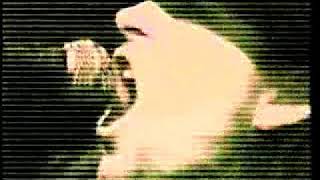 Fields of the Nephilim Power remix videoclip 1986 [upl. by Trub]