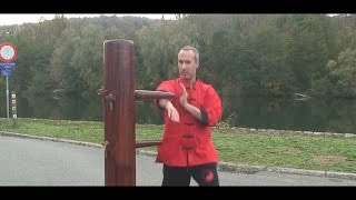 Sifu Yuksek formes  applications  Wing Tsun Kungfu [upl. by Forta]