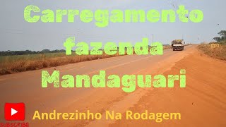 Carregando pro Armazém Brasnorte MT Confira comigo mas esse vídeo [upl. by Woolcott]