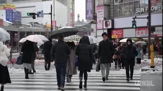 Giappone Tokyo si è svegliata sotto la neve traffico in tilt [upl. by Rockefeller946]