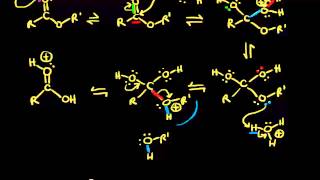 Acidcatalyzed ester hydrolysis  Organic chemistry  Khan Academy [upl. by Marylee]