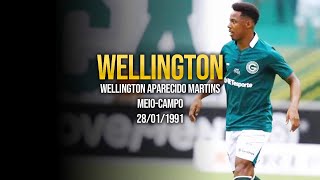 Wellington  Goiás 2024 [upl. by Rupert]