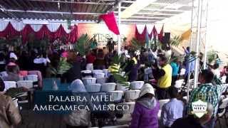 Alabanza Palabra Miel Amecameca [upl. by Mcknight]