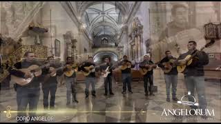 Coro Angelorum Saltillo  Milagro de Amor Vídeo Oficial [upl. by Ahtel]