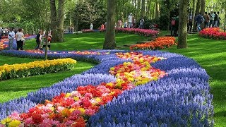 Keukenhof 2019 [upl. by Ainar774]