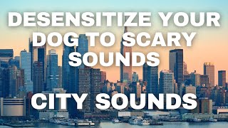 Dog Desensitization Sounds for Dogs amp Puppies City Sounds [upl. by Burch]