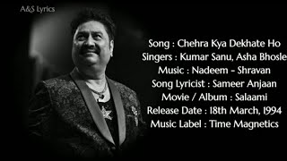 Chehara Kya Dekhate Ho  LYRICS  Asha Bhosle Kumar Sanu Nadeem  Shravan Sameer Anjaan [upl. by Sisenej]