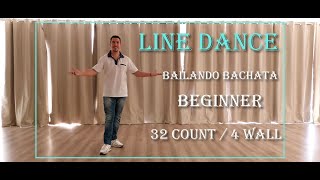 Line Dance  Bailando Bachata  Chayanne [upl. by Lamaaj]