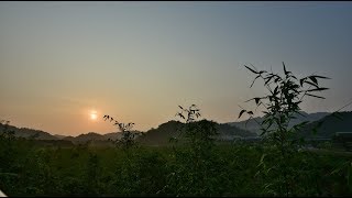 清明時節雨紛紛 路上行人欲斷魂 借問酒家何處有 牧童遙指杏花村 台北道南河濱公園 20180405 [upl. by Rosemarie]