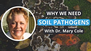 Pathogenic Fungi amp Plant Pathogens  Dr Mary Cole  Soil Food Web School [upl. by Elegna]