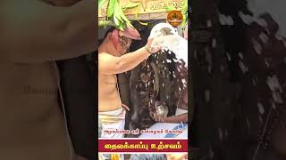 அழகர் மலையில் அழகருக்கு தைலக்காப்பு2024 gopuravasallive alagarkovil madurai meenakshi perumal [upl. by Callas500]