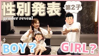 【性別発表】パパと娘に、第二子をジェンダーリビールで発表👶🩵🩷 [upl. by Livingstone]