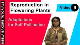 Reproduction in Flowering Plants  NEET  Adaptations for Self Pollination  Neela Bakore Tutorials [upl. by Deeraf370]