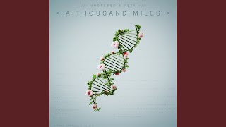 A Thousand Miles [upl. by Cristie]