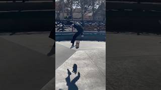 Skatepark Mix 🛹 skate skating skatepark [upl. by Ebbie106]