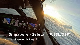 Landing Singapore  SeletarWSSLXSP  Gulfstream G650 [upl. by Yortal876]