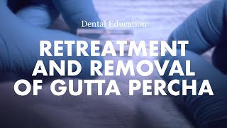 Endodontics Retreatment and removal of Gutta Percha [upl. by Naawaj]