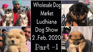 Wholesale Dog Market Ludhiana Dog Show 2nd Feb 2020 Part 1 [upl. by Rayford]