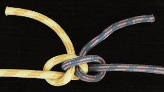 How To Tie The Alpine Butterfly Bend Knot [upl. by Atnauq557]