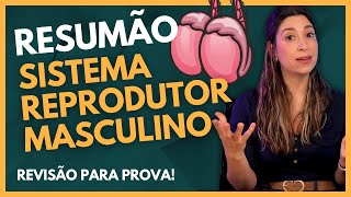 Resumão SISTEMA REPRODUTOR MASCULINO [upl. by Siurad]