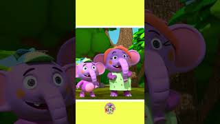 Canção Engraçada do Macaco 🐒 Canção infantil shorts musicainfantil kentoelefante [upl. by Ehrman597]