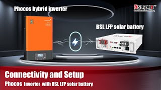 How to Connect your BSLBATT 48V Battery to Phocos Any Grid Hybrid Inverter [upl. by Sly]